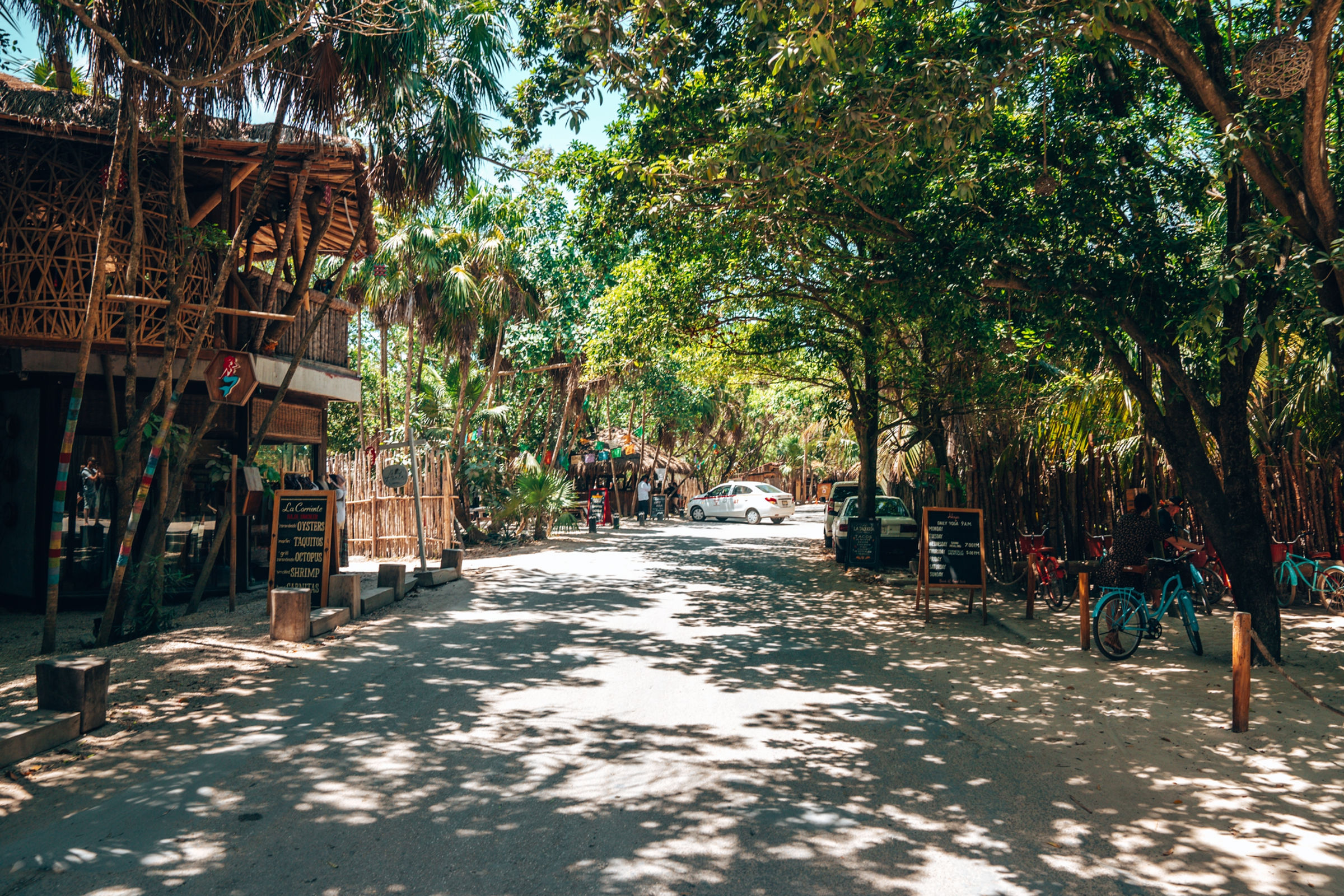 Tulum jungle path